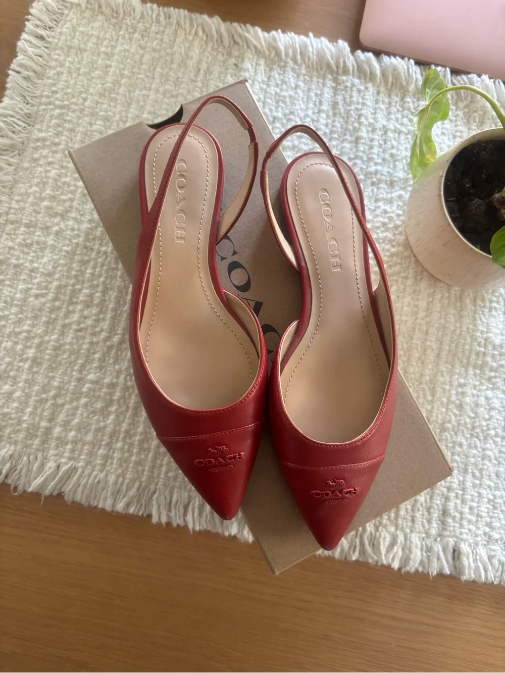 Coach Women's Burgundy Leather Pointed-Toe Slingback Flats